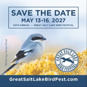Great Salt Lake Bird Festival 2027