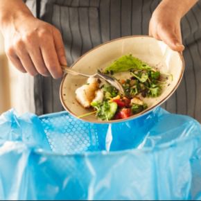 Food Waste Heroes Summer Camp
